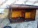 Вольеры нестандартных размеров - dsc00984.jpg