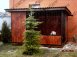 Вольеры стандартных размеров - dscn0854a.jpg