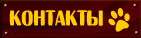 hover Контакты